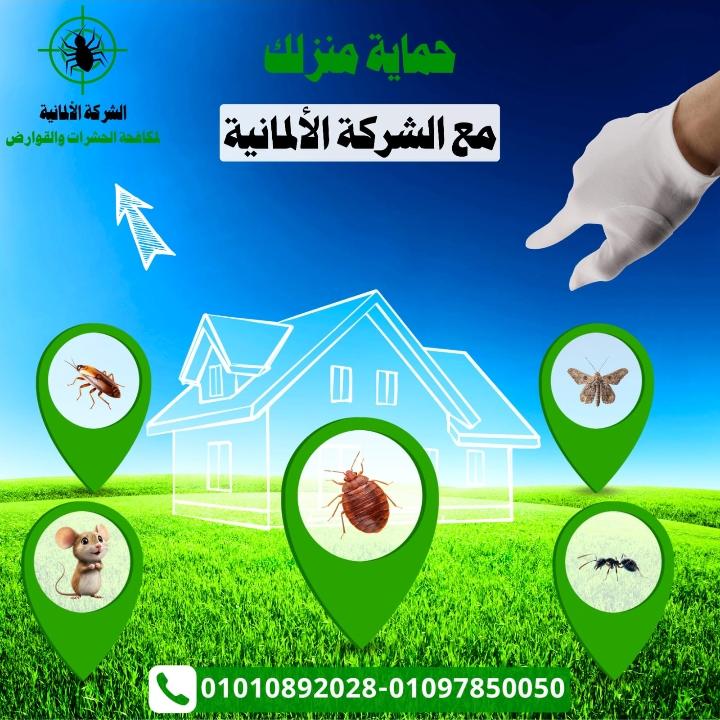 فريق الشركة الألمانية المتخصص في إبادة الحشرات